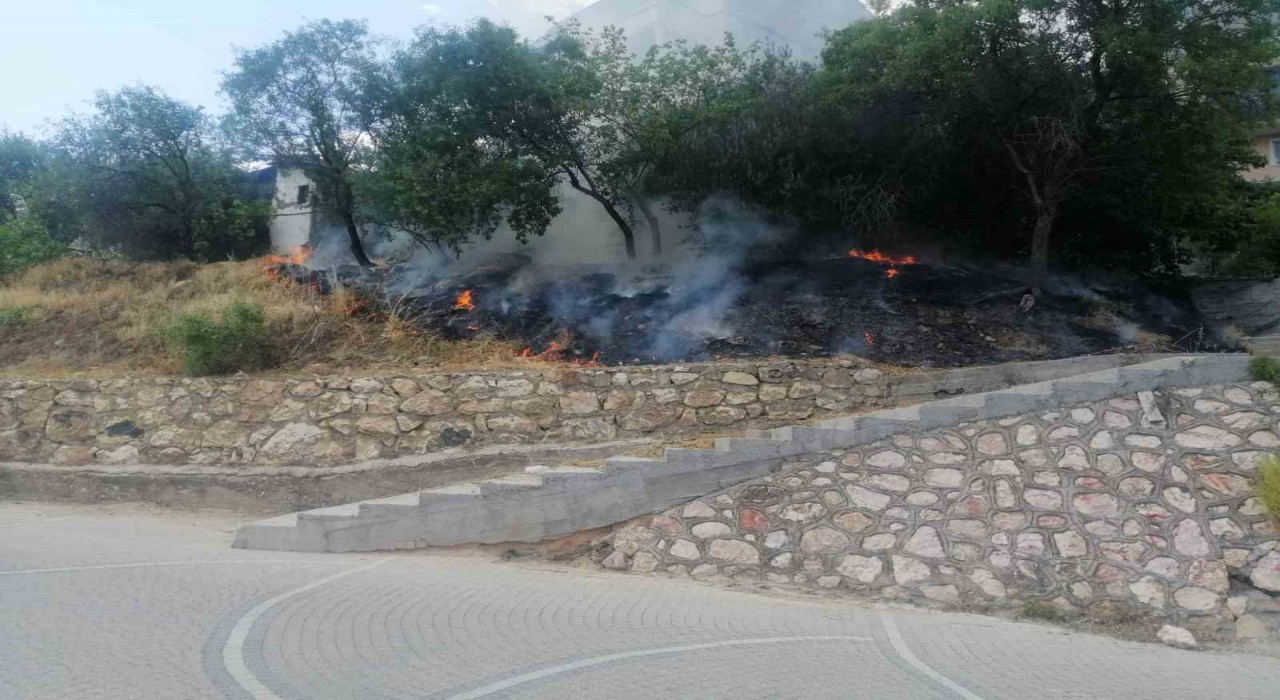 Sigara içen çocuklar otları tutuşturdu