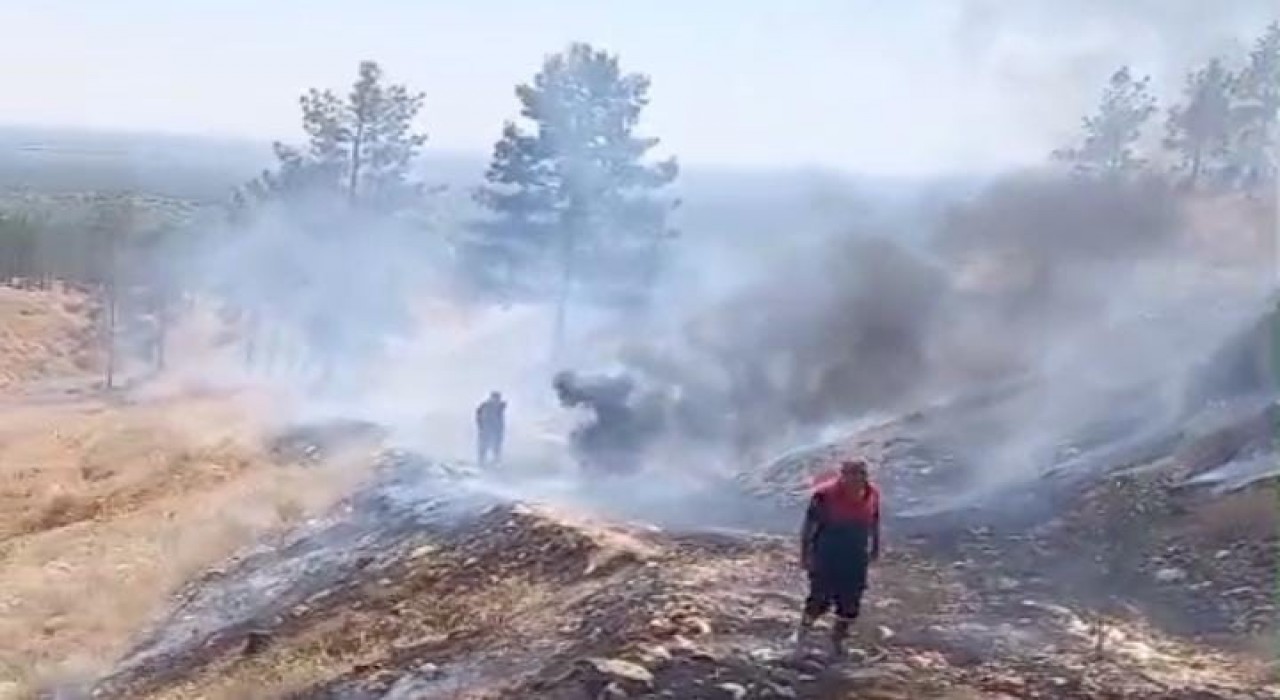 Sigara izmaritleri yangınlara neden oldu
