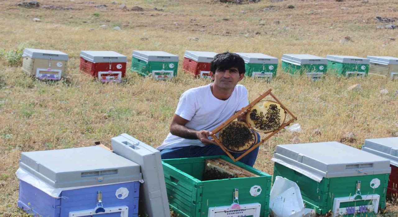 Siirtli arıcının arılarla kurduğu bağ görenleri şaşırtıyor