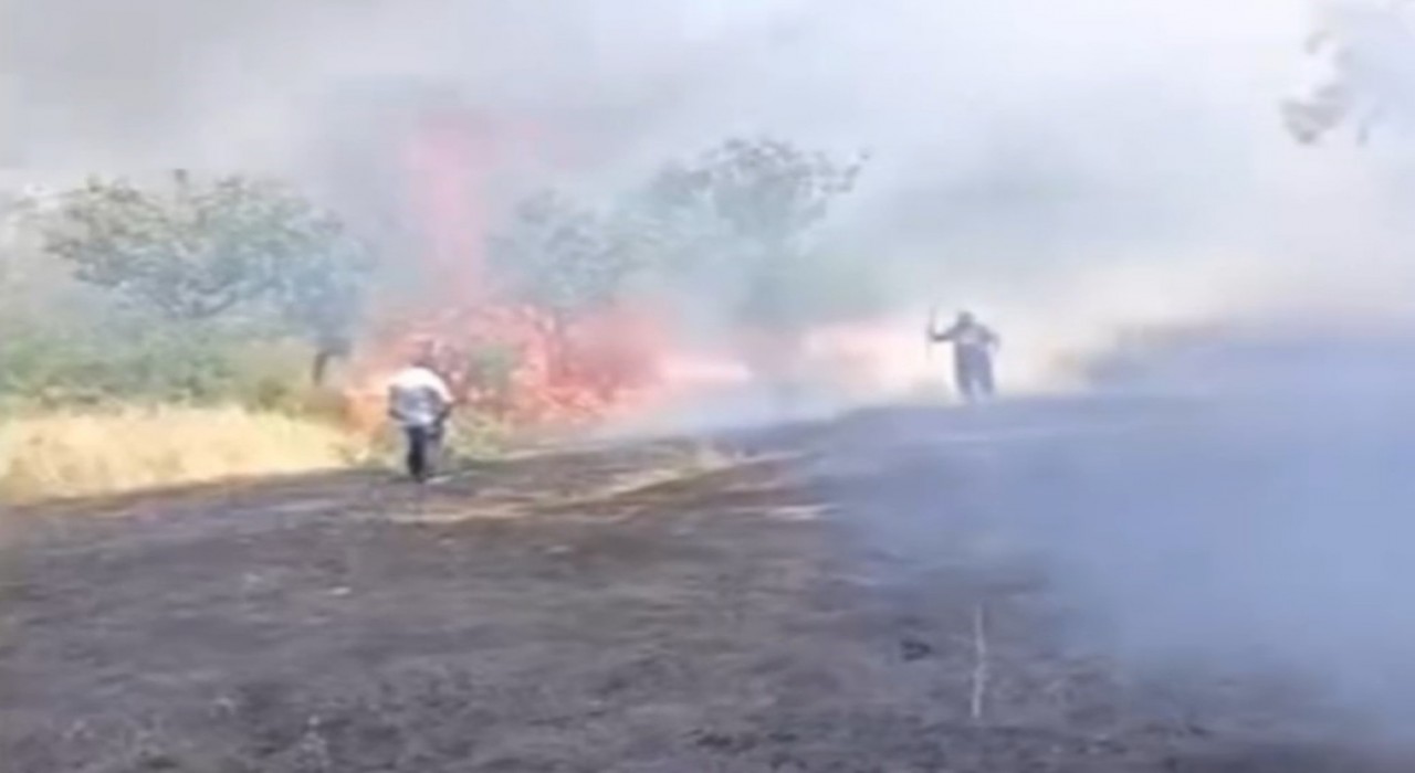 Siirtte çay için yakılan ateş fıstık ağaçlarını küle çevirdi