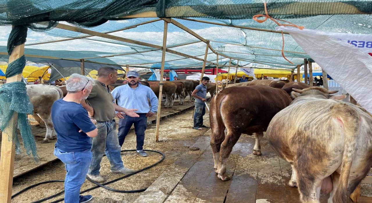 Sincanda Kurban Bayramı hazırlıkları tamam