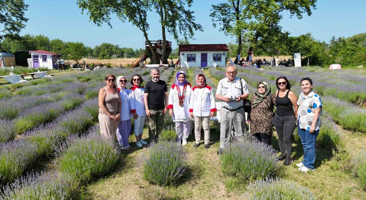 Sinopta lavanta kokulu gastronomi buluşması: Yöresel lezzetlere mor dokunuş