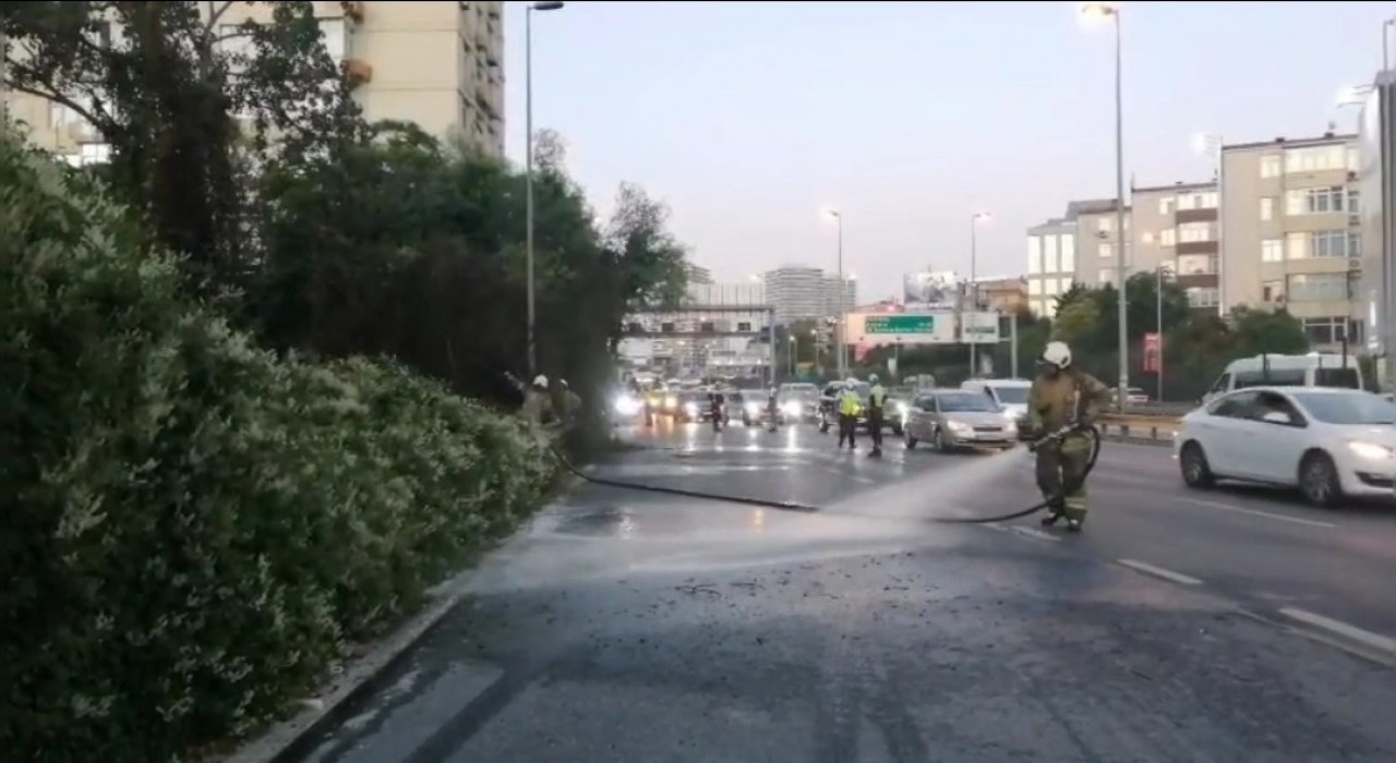 Şişlide ağaçlık alanda çıkan yangın korkuttu