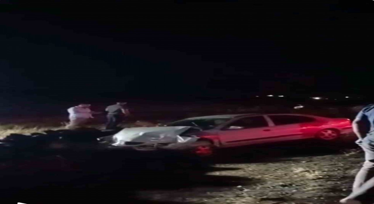 Siverekte kontrolden çıkan otomobil şarampole girdi: 2 yaralı