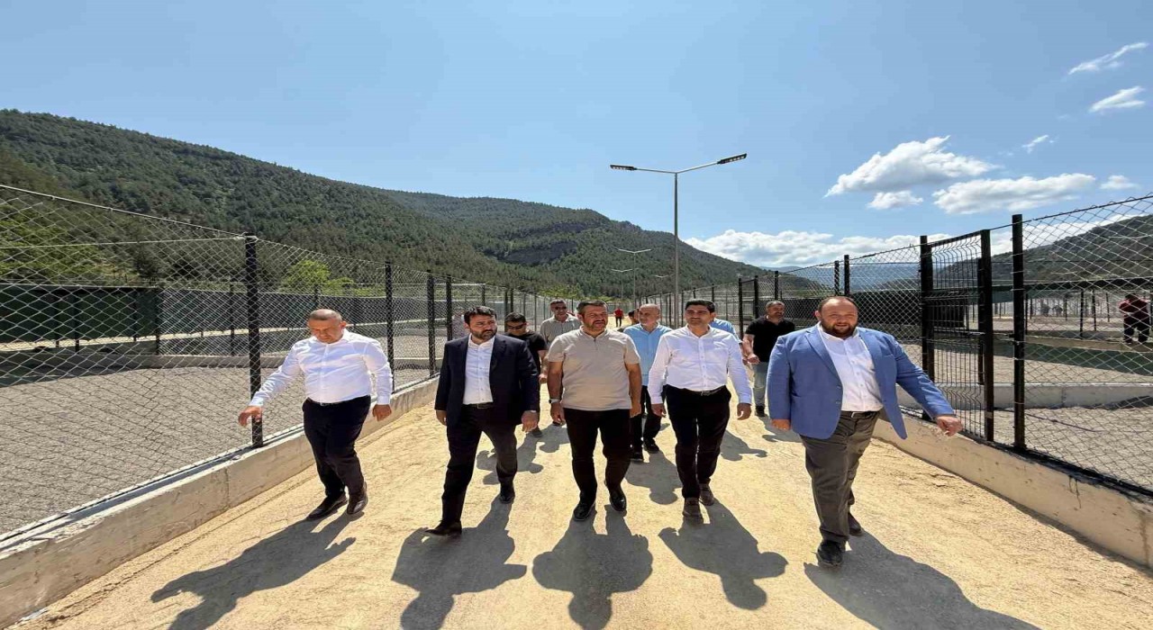 Sokak hayvanları için yapılan modern yaşam merkezi devreye alındı