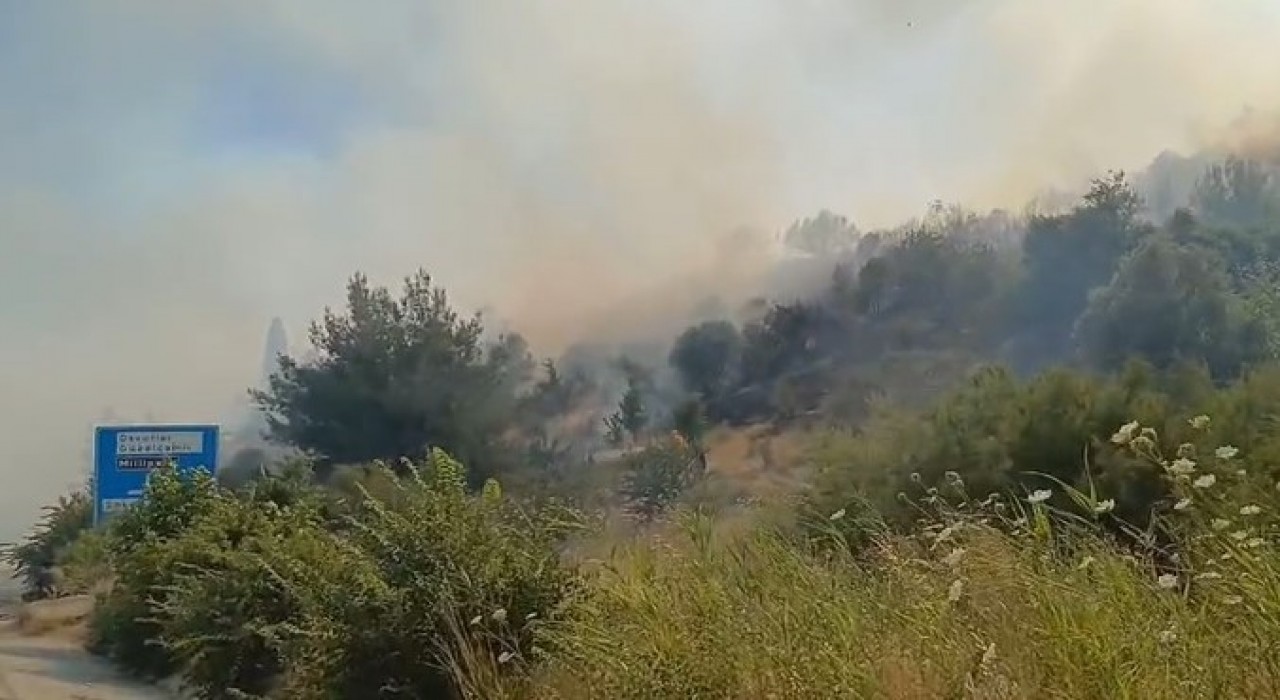 Sökedeki yangın ormana sıçradı
