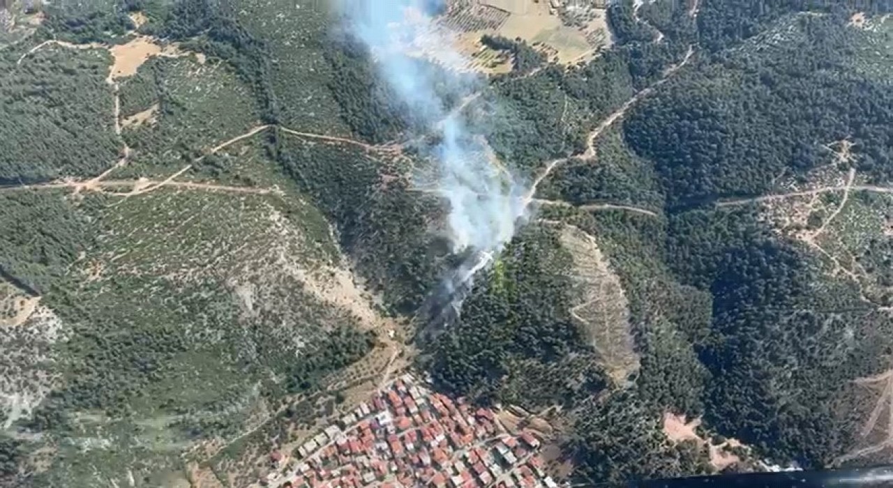 Somada aynı gün ikinci orman yangını