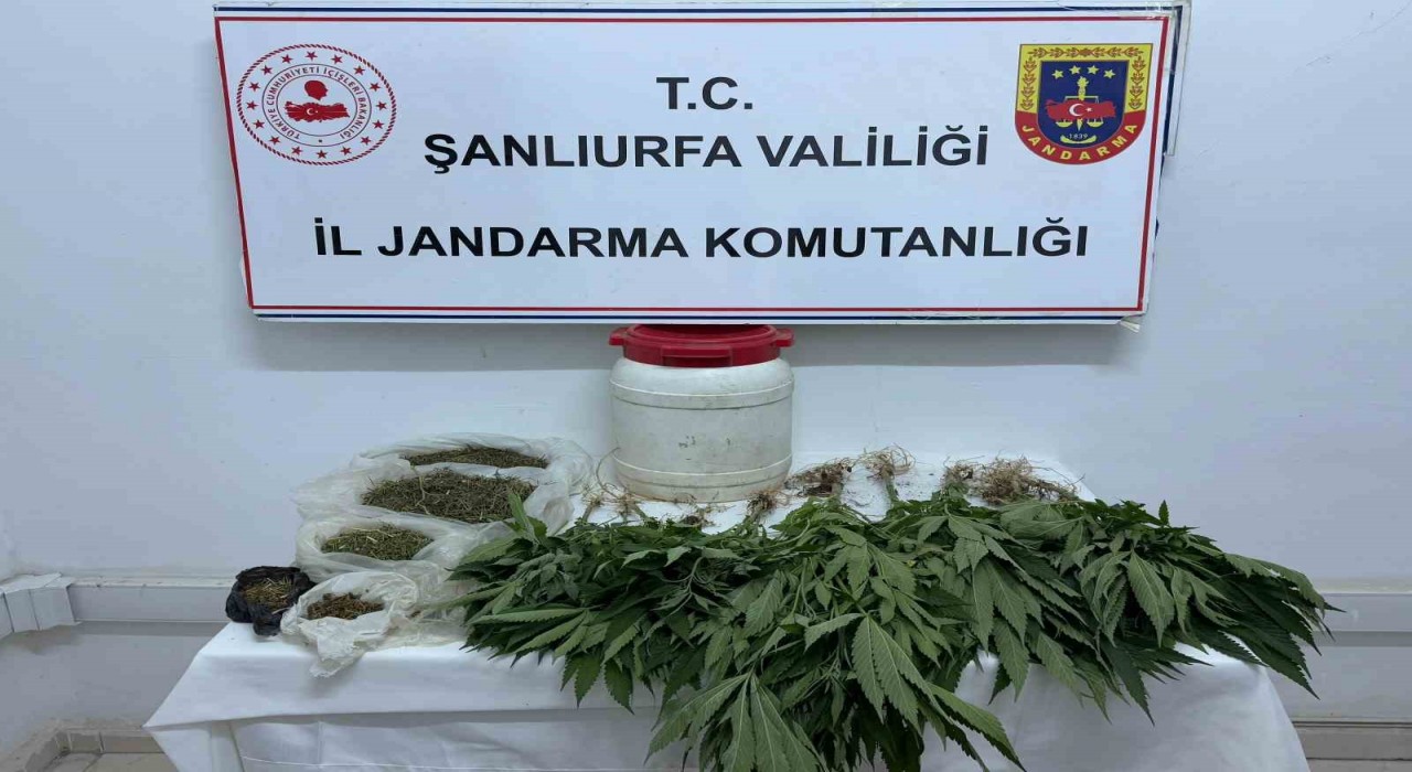 Suruçta uyuşturucu ele geçirildi