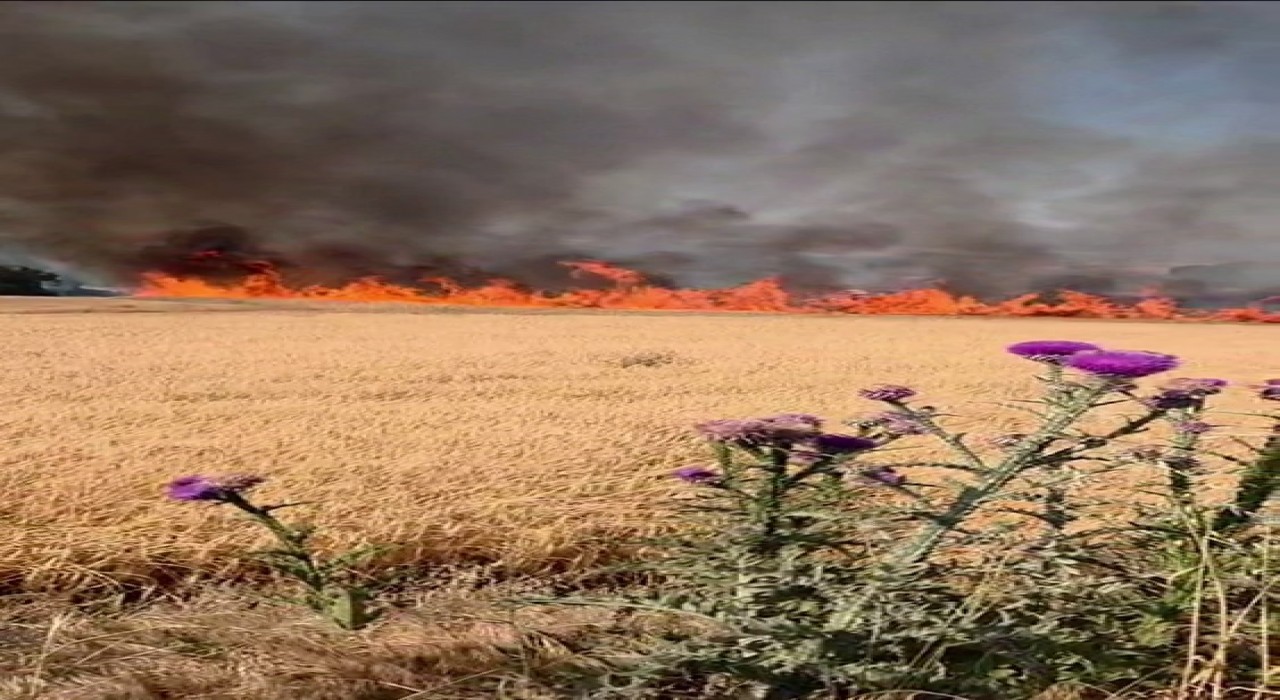 Susurluk-Bandırma kara yolunda tarla yangını