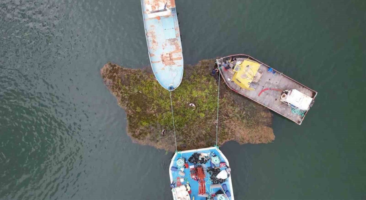 Tabiat varlığı yüzen adalar baraj ortasına sabitleniyor