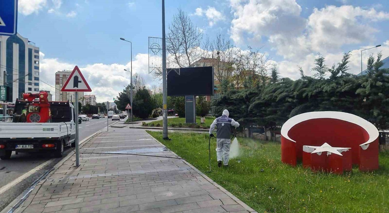 Talasta yaz boyunca haşereyle mücadele devam ediyor
