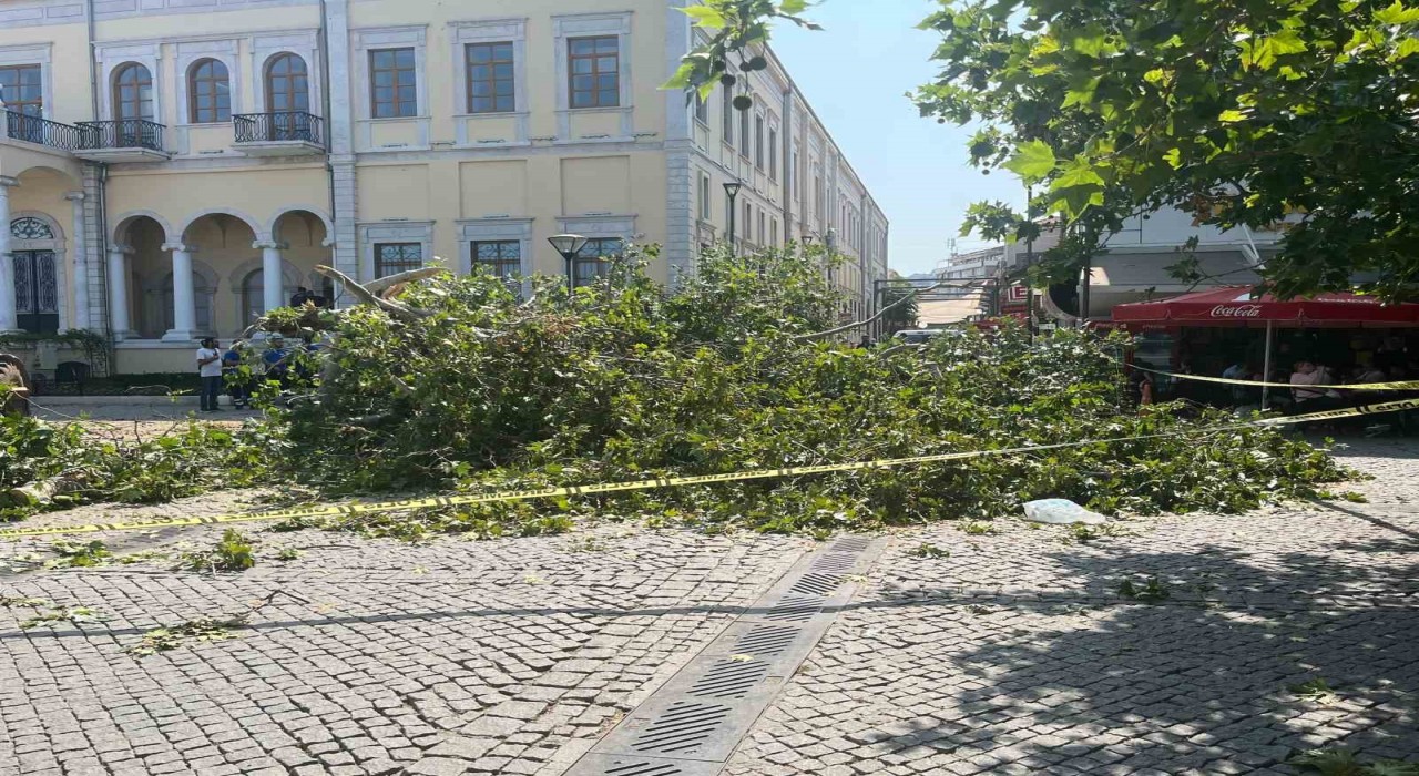 Tarihi Kemeraltı Çarşısı girişindeki dev çınar devrildi