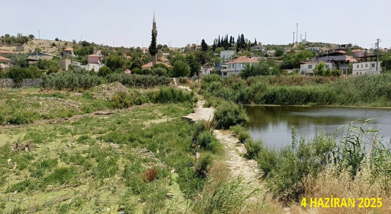 Tarihi köprüde sular yeşillendi, doğaseverler sorunlara dikkat çekti