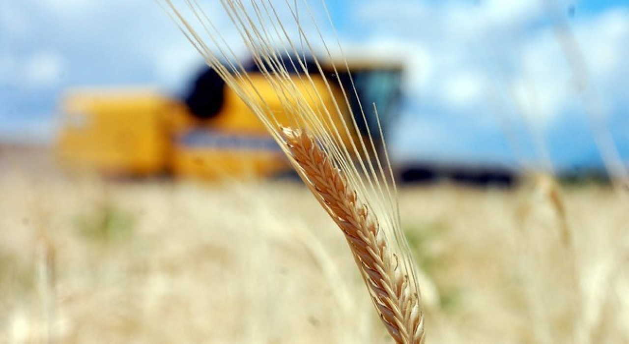 Tarım-GFE yıllık yüzde 30,12 arttı