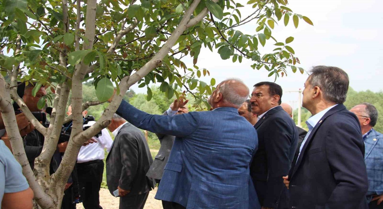TBMM Zirai Don Araştırma Komisyonu, Boluda inceleme yaptı