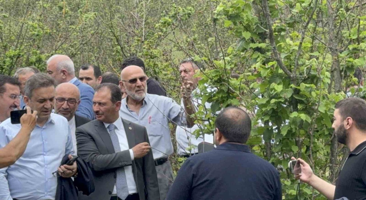 TBMM Zirai Don Olayını Araştırma Komisyonu Düzcede