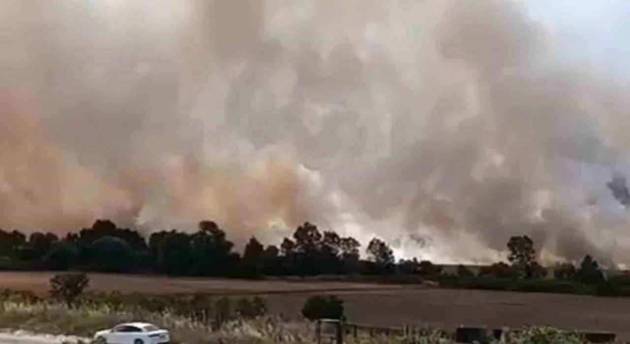 Tekirdağda 100 dönüm tarım arazisi yandı