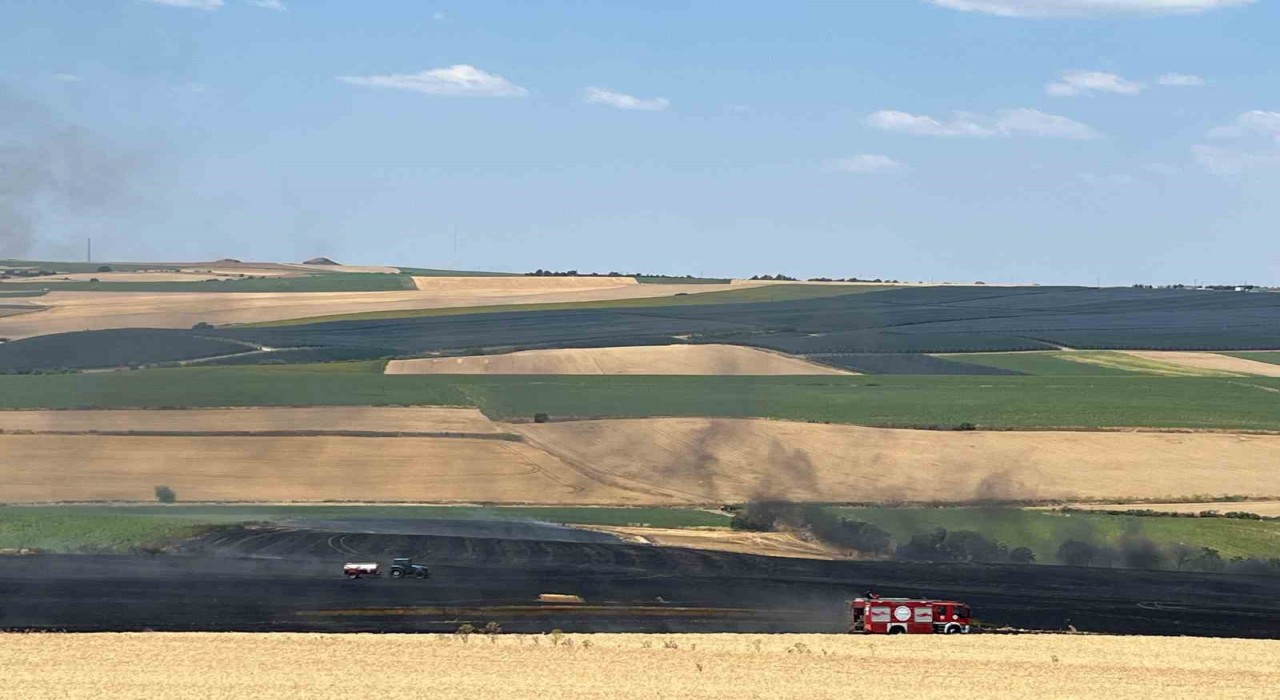 Tekirdağda 150 dönümde ekili buğday küle döndü