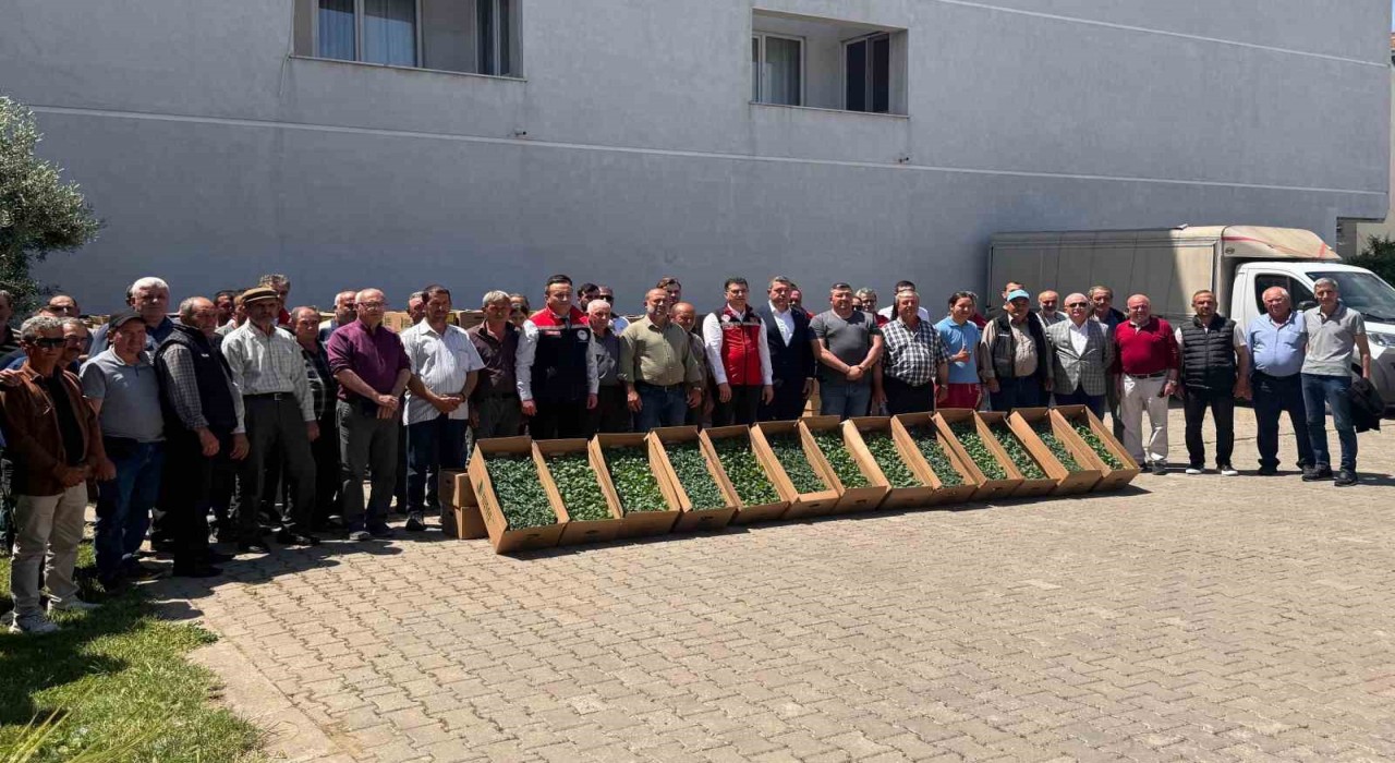 Tekirdağda 314 üreticiye 283 bin sebze fidesi dağıtıldı