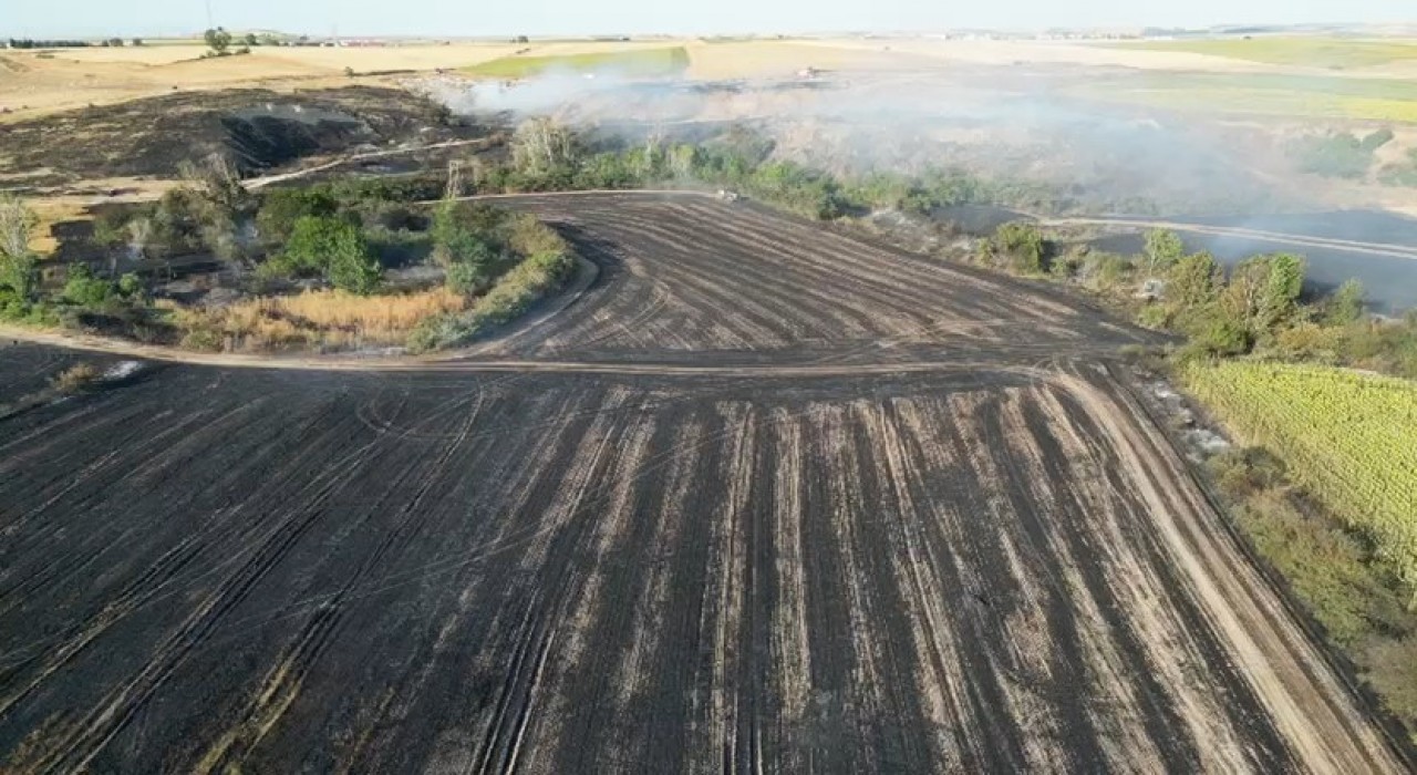 Tekirdağda çıkan yangında bin 500 dekarlık tarım arazisi zarar gördü