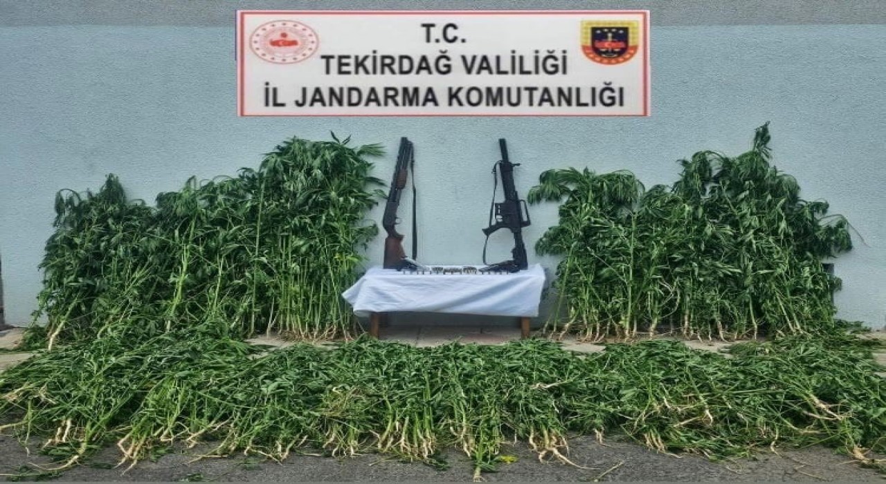 Tekirdağda jandarmadan uyuşturucu ve silah operasyonu
