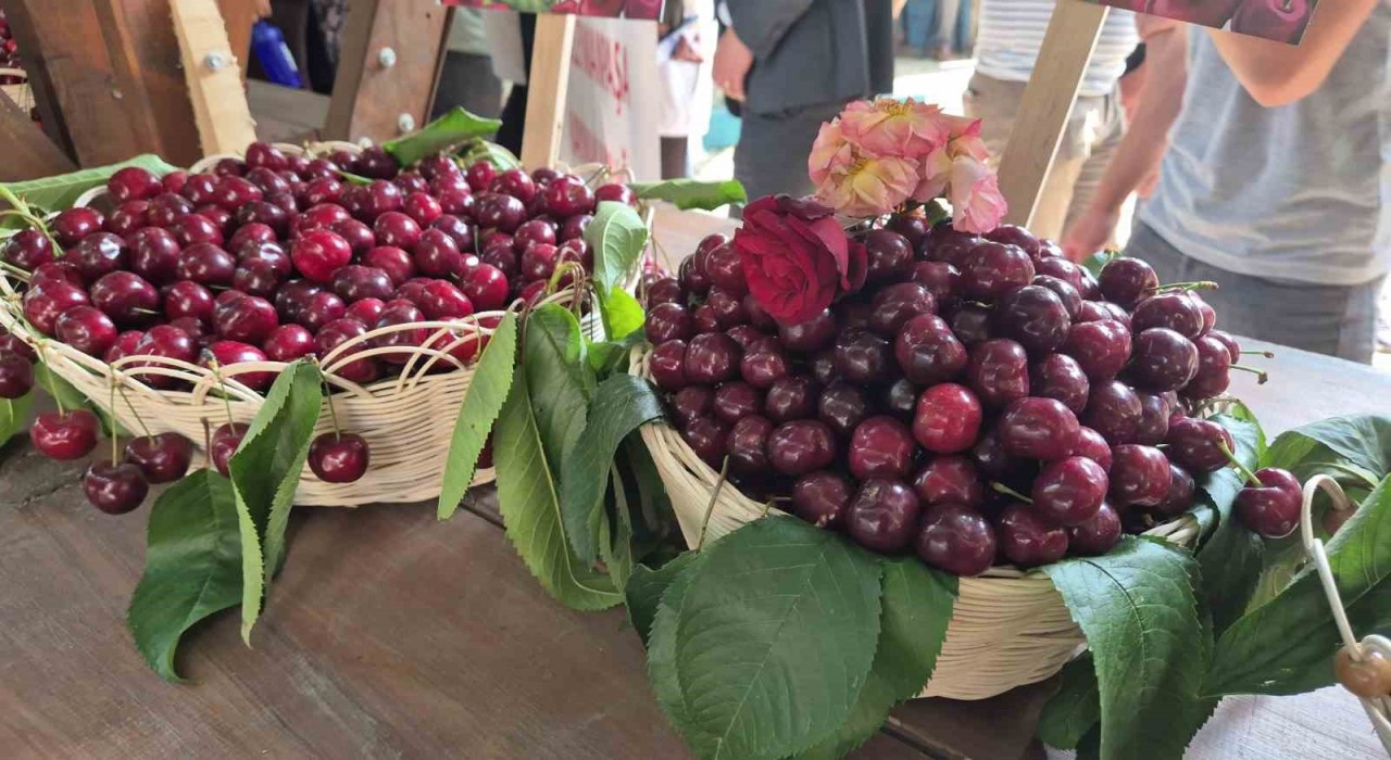Tekirdağda Kiraz Festivali coşkuyla başladı