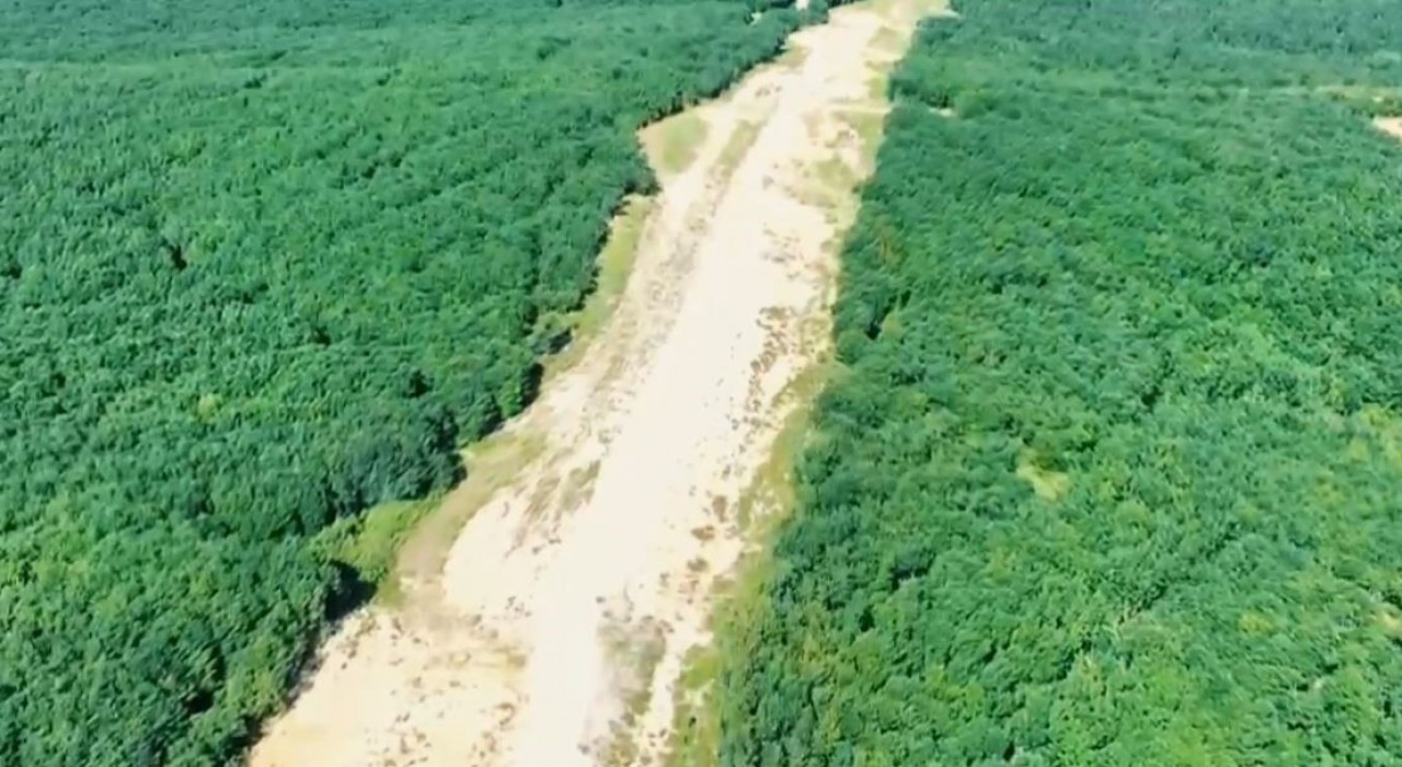 Tekirdağda orman nöbeti: Jandarma kaçak kesimlere geçit vermiyor