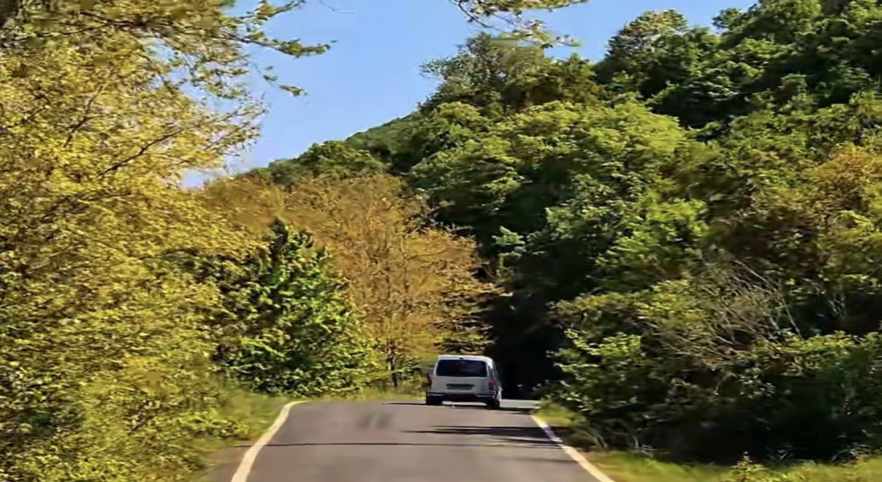 Tekirdağda ormanlara girişler yasaklandı