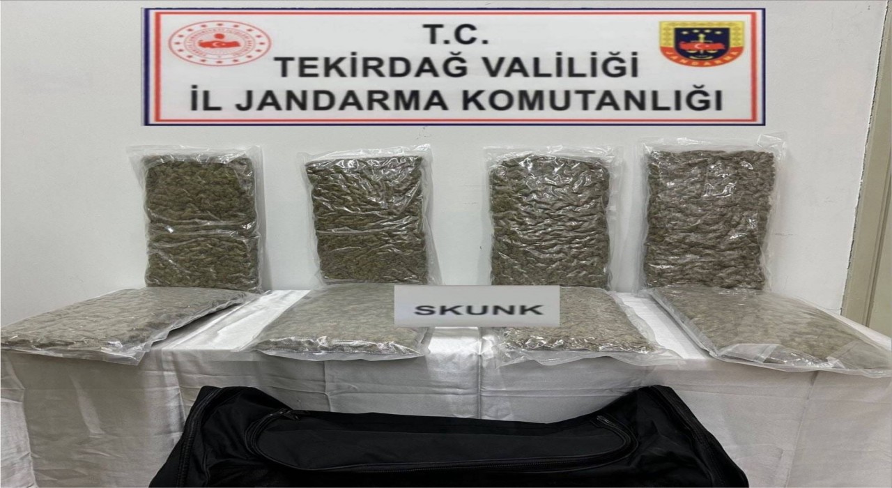 Tekirdağda otoyol gişelerinde 12 kilogram skunk ele geçirilmesine ilişkin 1 kişi tutuklandı