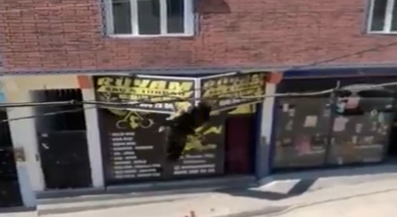 Tele takılan kuşu itfaiye kurtardı