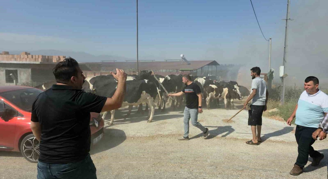 Tirede makilik alandaki yangın köye sıçradı, bazı evler ve damlar küle döndü