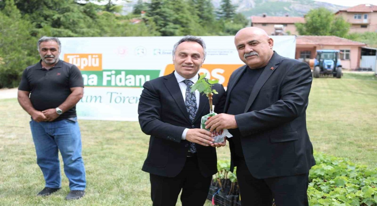 TOGÜ tüplü asma fidanlarını üreticiyle buluşturdu
