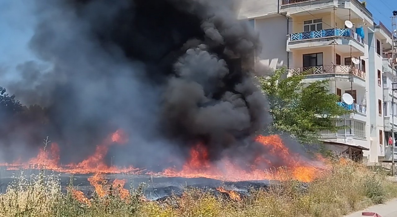 Tokatta arazide çıkan yangın evlere sıçramadan söndürüldü