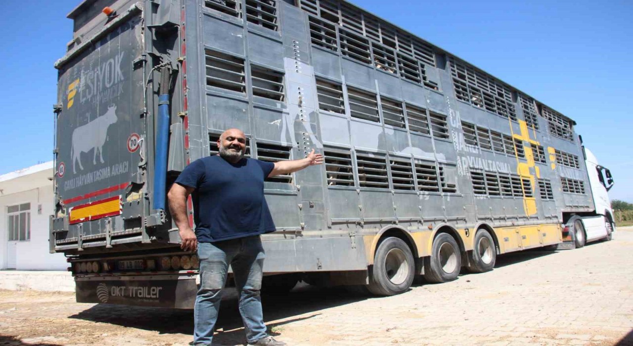 Türk mühendislerin tasarladığı bu araçla, canlı hayvan naklinde 5 yıldızlı konfor dönemi başladı