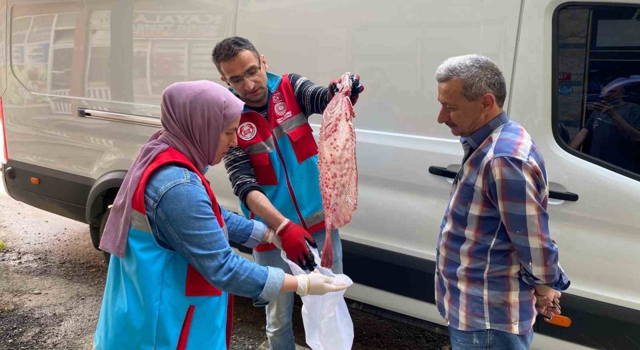 Türkelide kaçak avlanan 363 kalkan balığı vatandaşa dağıtıldı