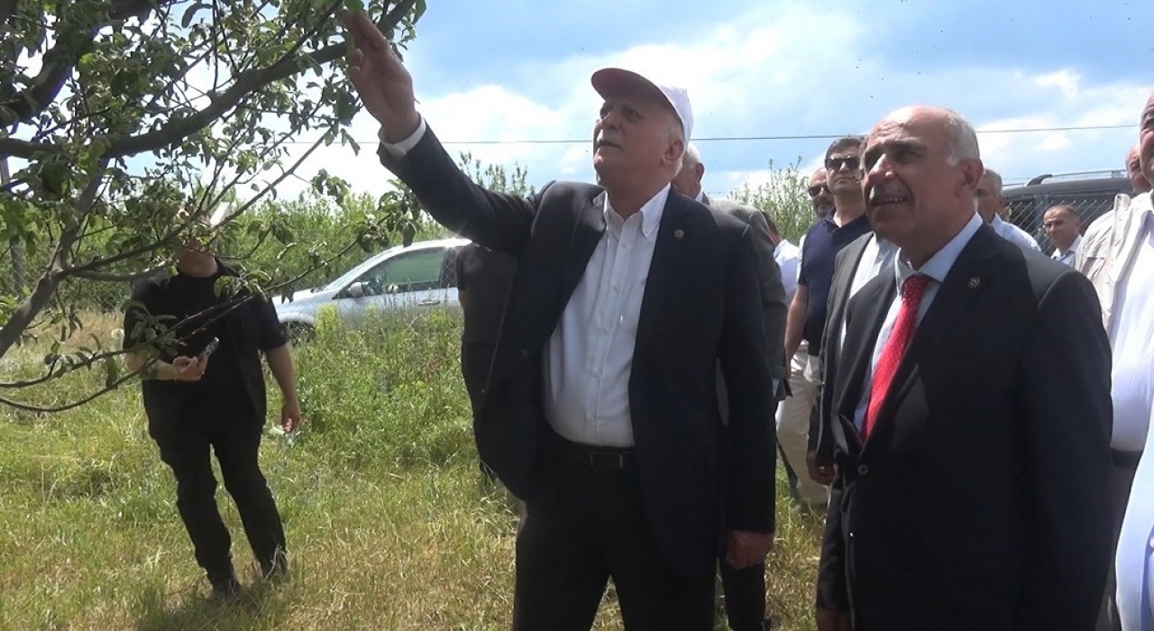 TZOB Başkanı Bayraktar: Don hadisesi Türkiyenin yaklaşık 65 ilinde özellikle meyve ürünlerimize büyük zarar verdi
