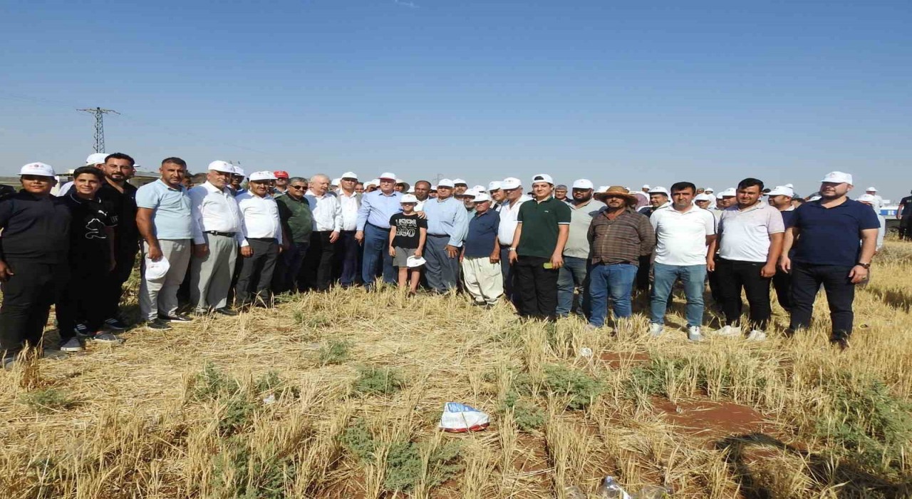 TZOB Başkanı Bayraktardan Kiliste tarımsal afet değerlendirmesi