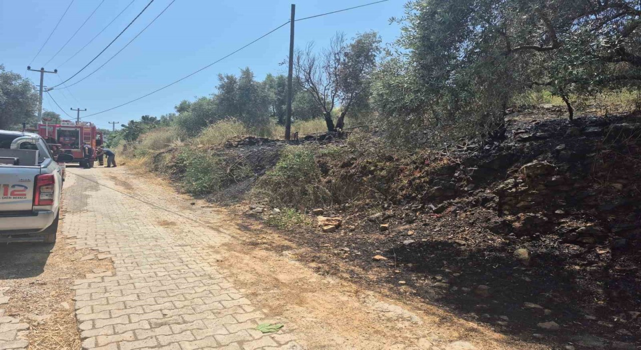 Ulada yol kenarında çıkan yangın korkuttu