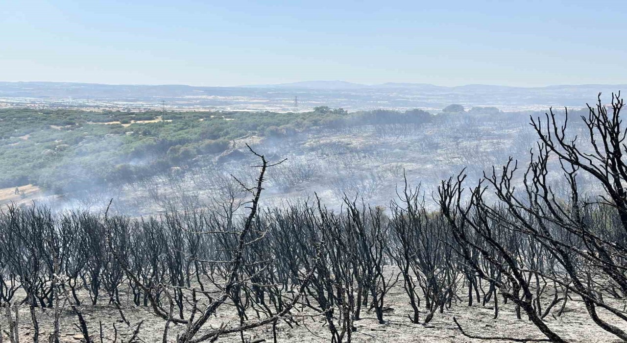 Uşakta tarım arazisinde çıkan yangın makilik alama sıçradı