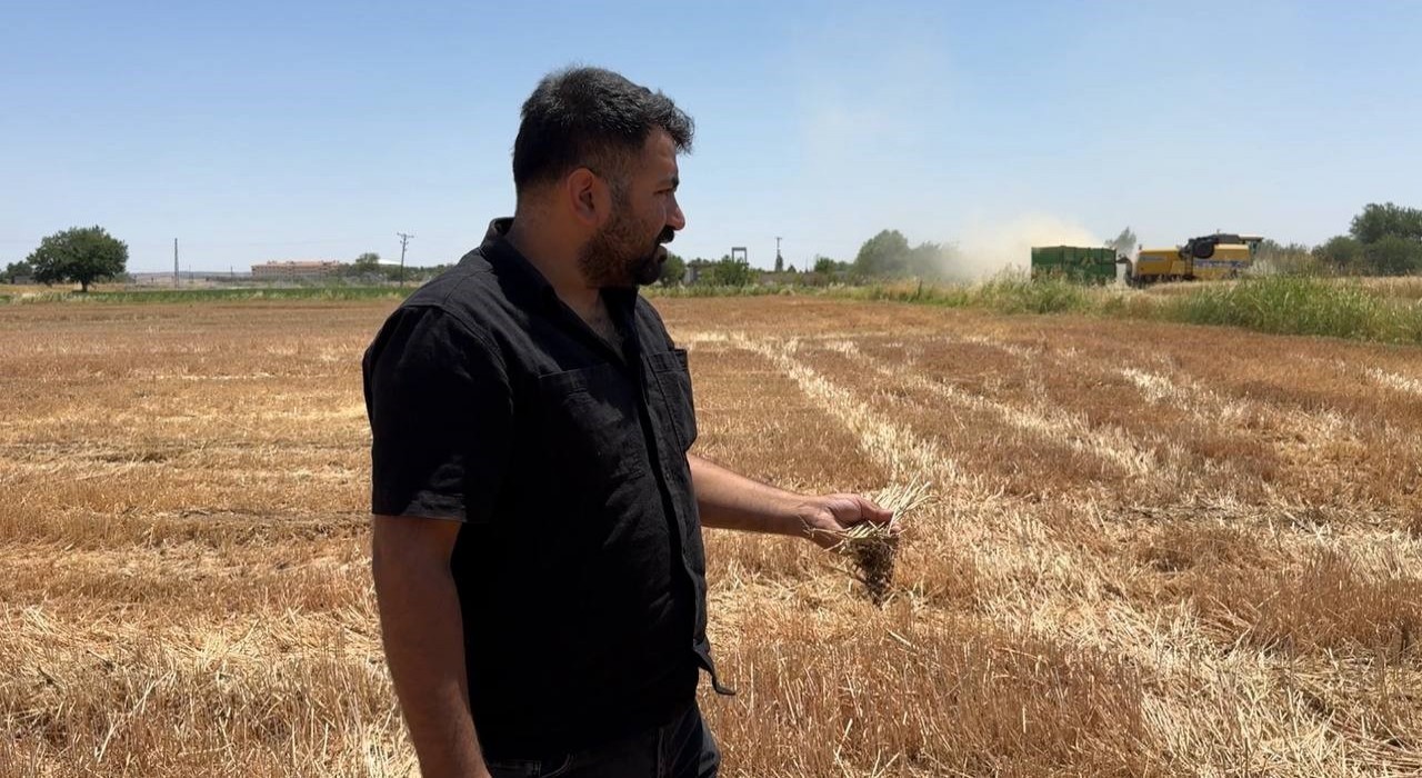 Uzmanlar ve çiftçiler anız yakmanın zararlarına dikkat çekti