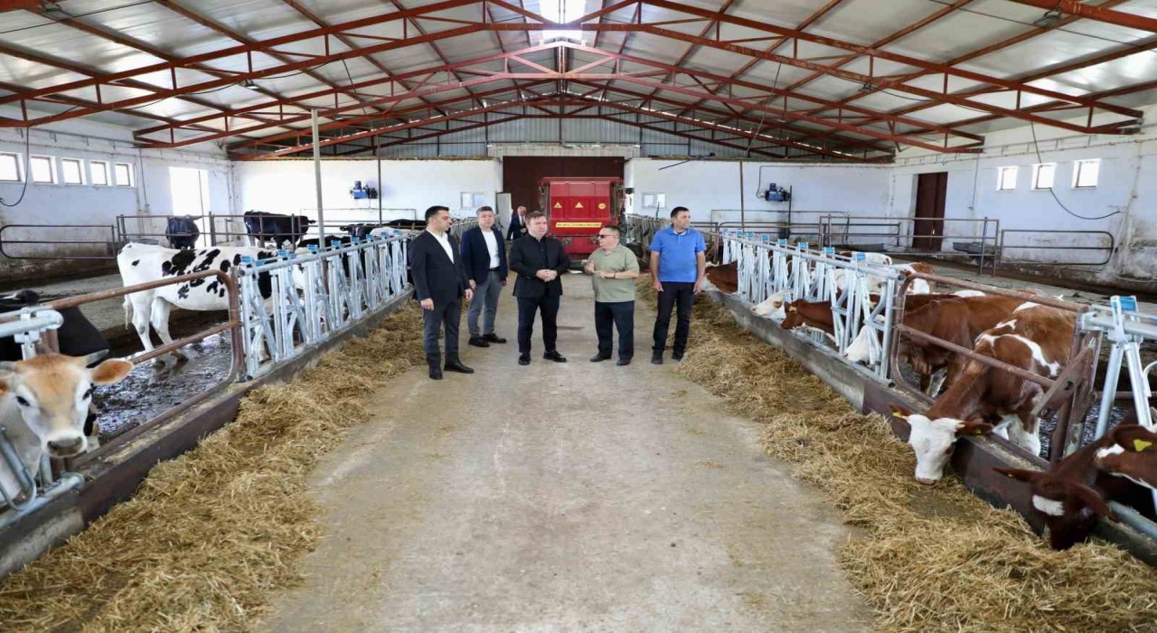 Vali Aydoğdu Düve Üretim Merkezinde incelemelerde bulundu