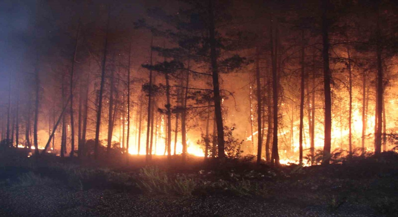 Valilik önlem aldı, ormanlık alanlara girişler yasaklandı