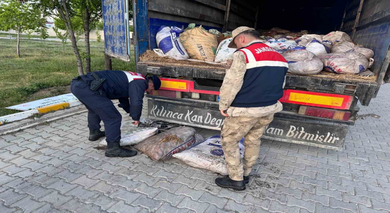 Vanda 19 ton 200 kilo inci kefali balığı ele geçirildi