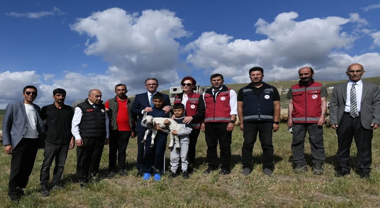 Vanda 3 yılda 2 bin 375 çiftçiye 235 bin koyun desteği verildi