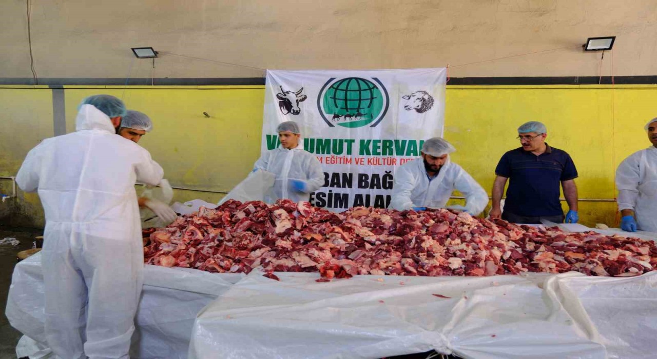 Vanda geleneksel toplu kurban kesimi