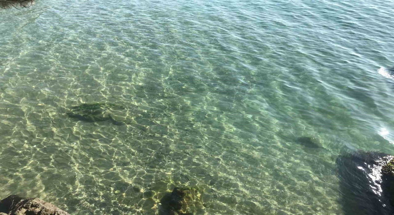Yakıt dökülen deniz temizlendi: Vatandaşlar soluğu İnkumunda aldı