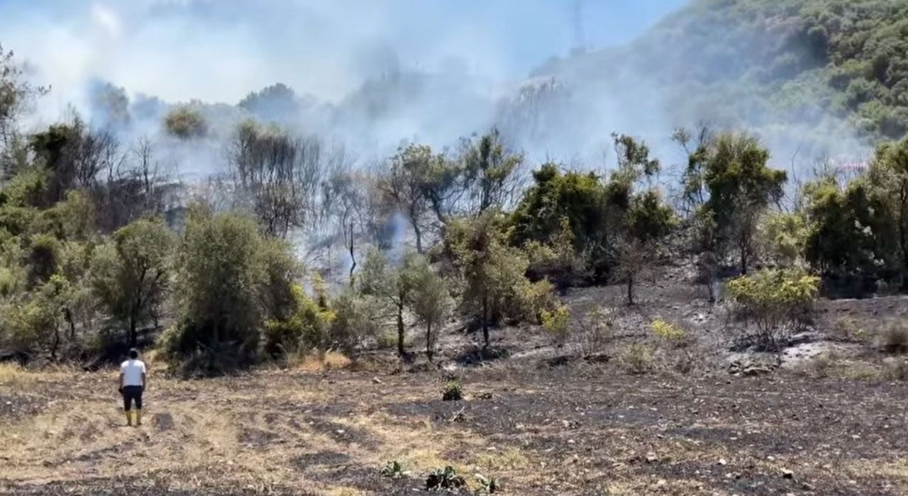 Yarbaşı Beldesinde Ormanlara Giriş Yasaklandı