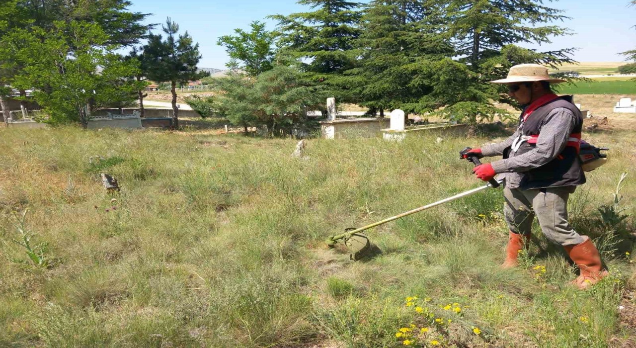 Yarımca köyü yabancı otlardan temizleniyor
