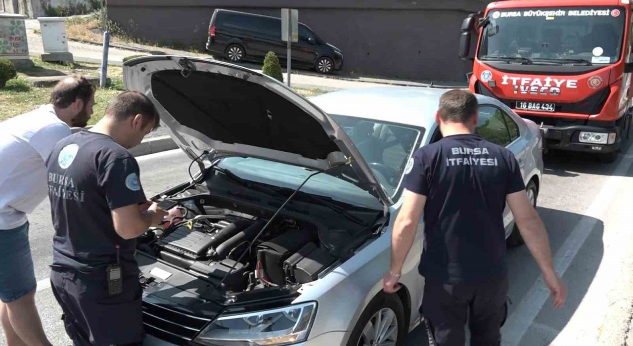 Yavru kedi, trafiği kilitleri