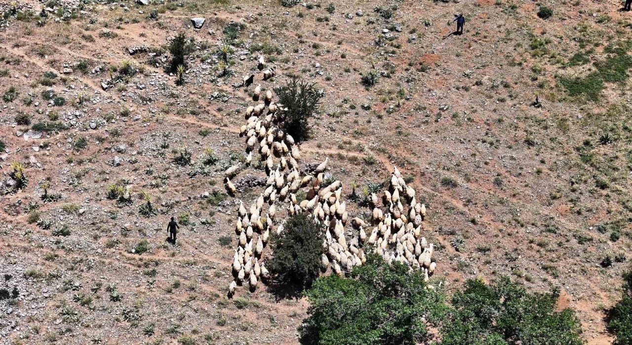 Yaylada zorlu şartlara rağmen üretmeye devam ediyorlar
